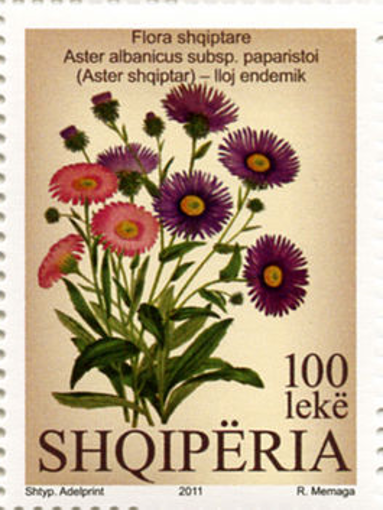 Foto e Pulla Flora Endemike Shqiptare